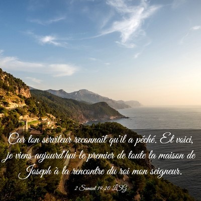 Picture 03 - 2 Samuel 19:20 LSG - Car ton serviteur reconnaît qu'il a péché. Et - Bible Verse Picture