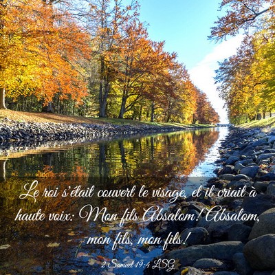 Picture 03 - 2 Samuel 19:4 LSG - Le roi s'était couvert le visage, et il criait - Bible Verse Picture
