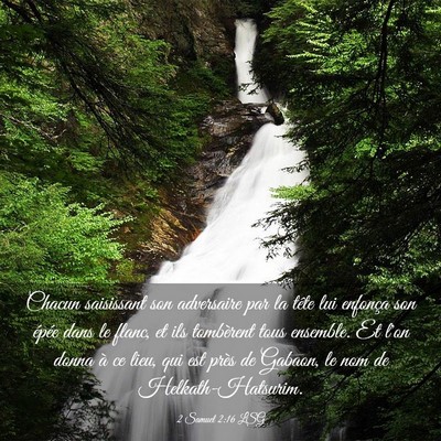 Picture 03 - 2 Samuel 2:16 LSG - Chacun saisissant son adversaire par la tête lui - Bible Verse Picture