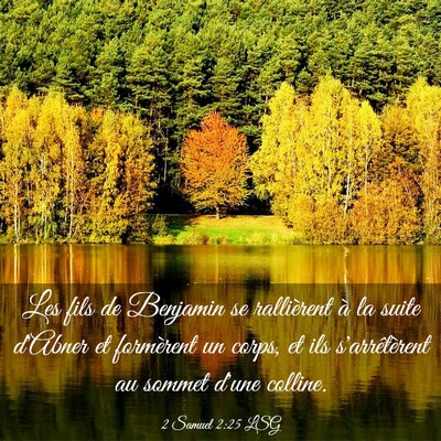 Picture 03 - 2 Samuel 2:25 LSG - Les fils de Benjamin se rallièrent à la suite - Bible Verse Picture