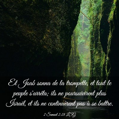 Picture 03 - 2 Samuel 2:28 LSG - Et Joab sonna de la trompette, et tout le peuple - Bible Verse Picture