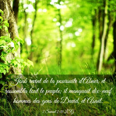 Picture 03 - 2 Samuel 2:30 LSG - Joab revint de la poursuite d'Abner, et rassembla - Bible Verse Picture