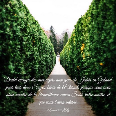 Picture 03 - 2 Samuel 2:5 LSG - David envoya des messagers aux gens de Jabès en - Bible Verse Picture
