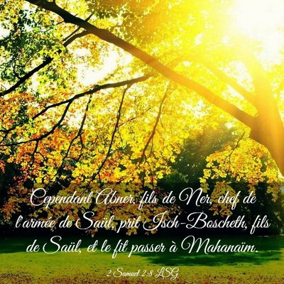 Picture 03 - 2 Samuel 2:8 LSG - Cependant Abner, fils de Ner, chef de l'armée de - Bible Verse Picture