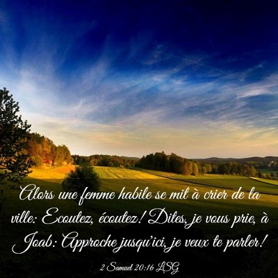 Picture 03 - 2 Samuel 20:16 LSG - Alors une femme habile se mit à crier de la - Bible Verse Picture