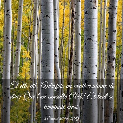 Picture 03 - 2 Samuel 20:18 LSG - Et elle dit: Autrefois on avait coutume de dire: - Bible Verse Picture