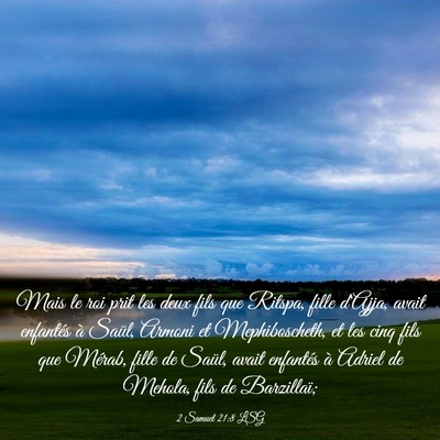 Picture 03 - 2 Samuel 21:8 LSG - Mais le roi prit les deux fils que Ritspa, fille - Bible Verse Picture
