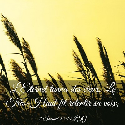 Picture 03 - 2 Samuel 22:14 LSG - L'Eternel tonna des cieux, Le Très-Haut fit - Bible Verse Picture
