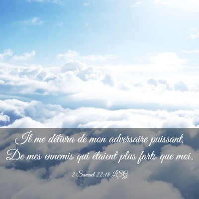 Picture 03 - 2 Samuel 22:18 LSG - Il me délivra de mon adversaire puissant, De mes - Bible Verse Picture