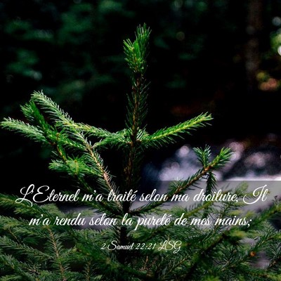 Picture 03 - 2 Samuel 22:21 LSG - L'Eternel m'a traité selon ma droiture, Il m'a - Bible Verse Picture