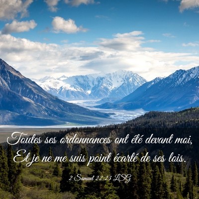 Picture 03 - 2 Samuel 22:23 LSG - Toutes ses ordonnances ont été devant moi, Et - Bible Verse Picture