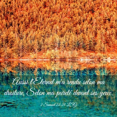 Picture 03 - 2 Samuel 22:25 LSG - Aussi l'Eternel m'a rendu selon ma droiture, - Bible Verse Picture