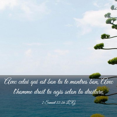 Picture 03 - 2 Samuel 22:26 LSG - Avec celui qui est bon tu te montres bon, Avec - Bible Verse Picture