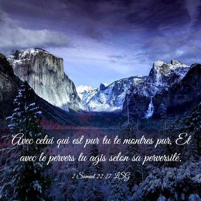 Picture 03 - 2 Samuel 22:27 LSG - Avec celui qui est pur tu te montres pur, Et avec - Bible Verse Picture