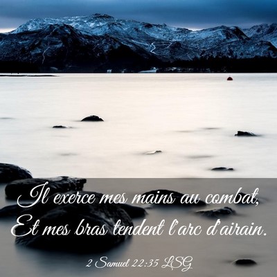Picture 03 - 2 Samuel 22:35 LSG - Il exerce mes mains au combat, Et mes bras - Bible Verse Picture