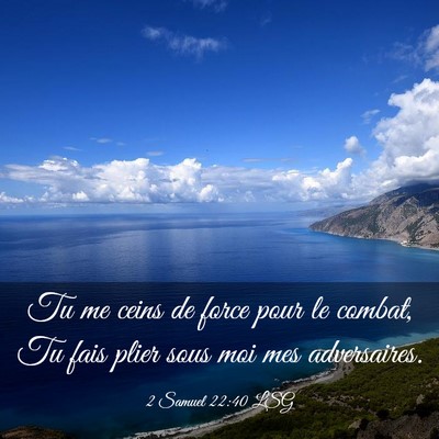 Picture 03 - 2 Samuel 22:40 LSG - Tu me ceins de force pour le combat, Tu fais - Bible Verse Picture
