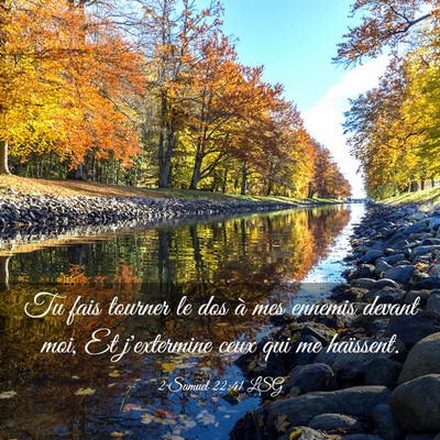Picture 03 - 2 Samuel 22:41 LSG - Tu fais tourner le dos à mes ennemis devant moi, - Bible Verse Picture