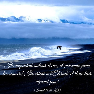 Picture 03 - 2 Samuel 22:42 LSG - Ils regardent autour d'eux, et personne pour les - Bible Verse Picture