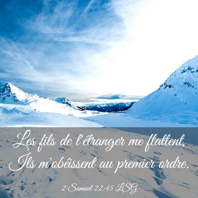 Picture 03 - 2 Samuel 22:45 LSG - Les fils de l'étranger me flattent, Ils - Bible Verse Picture