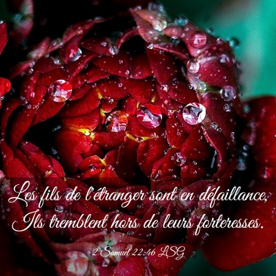Picture 03 - 2 Samuel 22:46 LSG - Les fils de l'étranger sont en défaillance, Ils - Bible Verse Picture