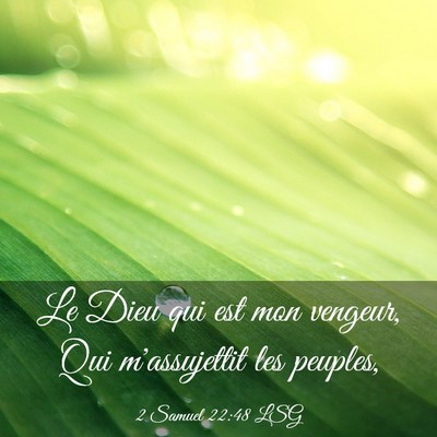 Picture 03 - 2 Samuel 22:48 LSG - Le Dieu qui est mon vengeur, Qui m'assujettit les - Bible Verse Picture