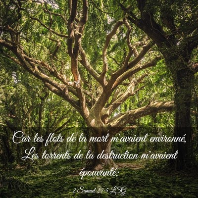 Picture 03 - 2 Samuel 22:5 LSG - Car les flots de la mort m'avaient environné, - Bible Verse Picture