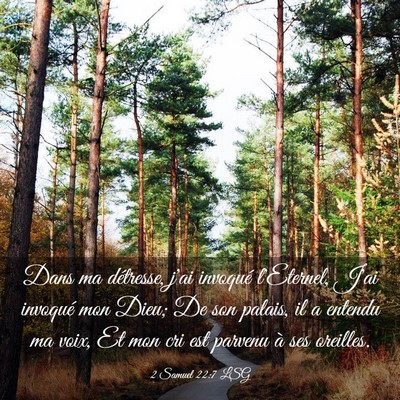 Picture 03 - 2 Samuel 22:7 LSG - Dans ma détresse, j'ai invoqué l'Eternel, J'ai - Bible Verse Picture