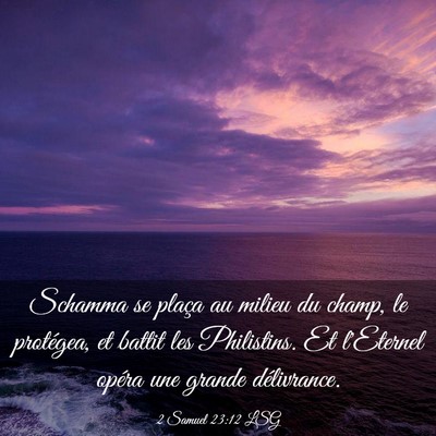 Picture 03 - 2 Samuel 23:12 LSG - Schamma se plaça au milieu du champ, le - Bible Verse Picture