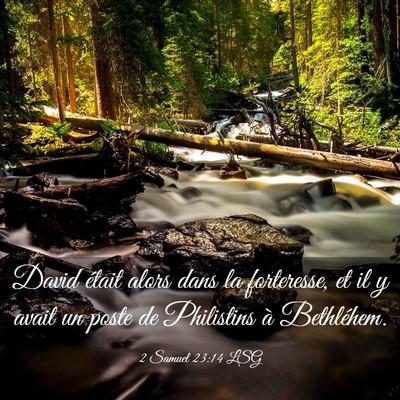 Picture 03 - 2 Samuel 23:14 LSG - David était alors dans la forteresse, et il y - Bible Verse Picture