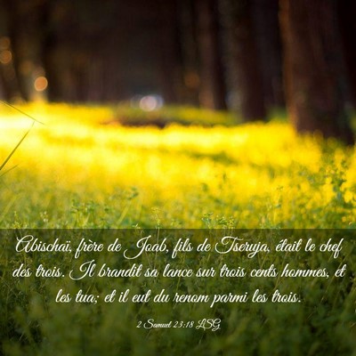 Picture 03 - 2 Samuel 23:18 LSG - Abischaï, frère de Joab, fils de Tseruja, - Bible Verse Picture