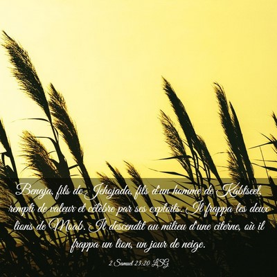 Picture 03 - 2 Samuel 23:20 LSG - Benaja, fils de Jehojada, fils d'un homme de - Bible Verse Picture