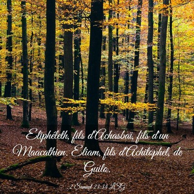 Picture 03 - 2 Samuel 23:34 LSG - Eliphéleth, fils d'Achasbaï, fils d'un - Bible Verse Picture