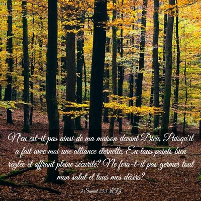 Picture 03 - 2 Samuel 23:5 LSG - N'en est-il pas ainsi de ma maison devant Dieu, - Bible Verse Picture