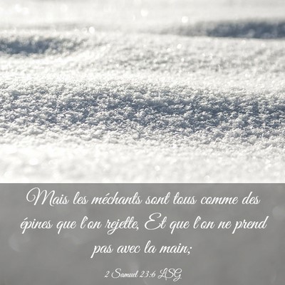 Picture 03 - 2 Samuel 23:6 LSG - Mais les méchants sont tous comme des épines - Bible Verse Picture