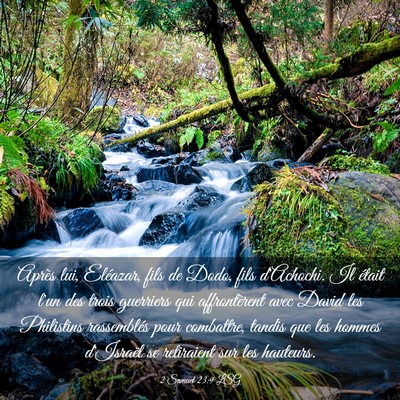 Picture 03 - 2 Samuel 23:9 LSG - Après lui, Eléazar, fils de Dodo, fils - Bible Verse Picture
