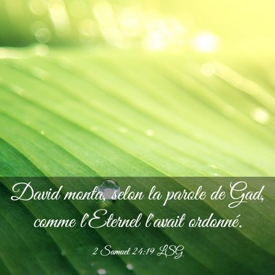 Picture 03 - 2 Samuel 24:19 LSG - David monta, selon la parole de Gad, comme - Bible Verse Picture
