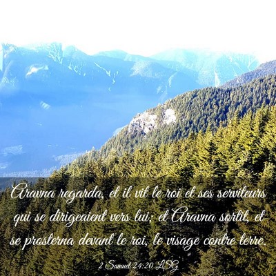 Picture 03 - 2 Samuel 24:20 LSG - Aravna regarda, et il vit le roi et ses - Bible Verse Picture