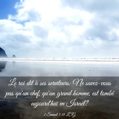 Picture 03 - 2 Samuel 3:38 LSG - Le roi dit à ses serviteurs: Ne savez-vous pas - Bible Verse Picture