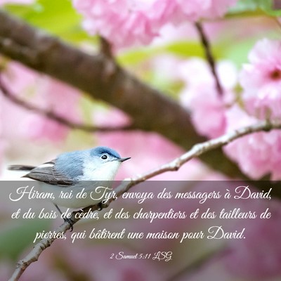 Picture 03 - 2 Samuel 5:11 LSG - Hiram, roi de Tyr, envoya des messagers à David, - Bible Verse Picture