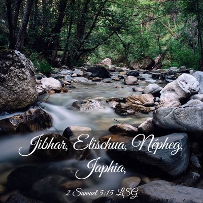 Picture 03 - 2 Samuel 5:15 LSG - Jibhar, Elischua, Népheg, - Bible Verse Picture