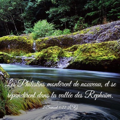 Picture 03 - 2 Samuel 5:22 LSG - Les Philistins montèrent de nouveau, et se - Bible Verse Picture