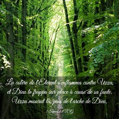 Picture 03 - 2 Samuel 6:7 LSG - La colère de l'Eternel s'enflamma contre Uzza, - Bible Verse Picture