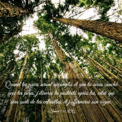 Picture 03 - 2 Samuel 7:12 LSG - Quand tes jours seront accomplis et que tu seras - Bible Verse Picture