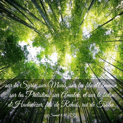Picture 03 - 2 Samuel 8:12 LSG - sur la Syrie, sur Moab, sur les fils d'Ammon, sur - Bible Verse Picture