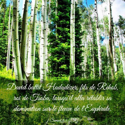 Picture 03 - 2 Samuel 8:3 LSG - David battit Hadadézer, fils de Rehob, roi de - Bible Verse Picture