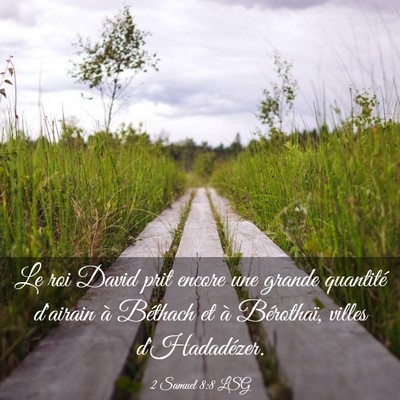 Picture 03 - 2 Samuel 8:8 LSG - Le roi David prit encore une grande quantité - Bible Verse Picture