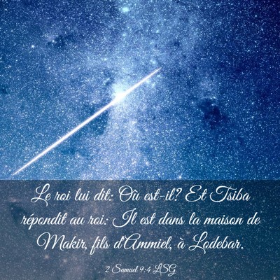 Picture 03 - 2 Samuel 9:4 LSG - Le roi lui dit: Où est-il? Et Tsiba répondit au - Bible Verse Picture