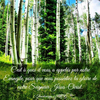 Picture 03 - 2 Thessaloniciens 2:14 LSG - C'est à quoi il vous a appelés par notre - Bible Verse Picture