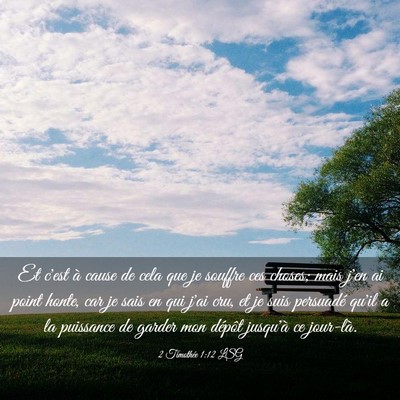 Picture 03 - 2 Timothée 1:12 LSG - Et c'est à cause de cela que je souffre ces - Bible Verse Picture