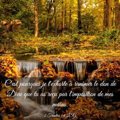 Picture 03 - 2 Timothée 1:6 LSG - C'est pourquoi je t'exhorte à ranimer le don de - Bible Verse Picture